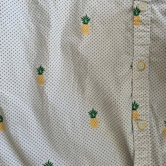 Denim & Flower Ricky Singh Swiss Dot Pineapple Button Up Shirt L - Picture 5 of 5